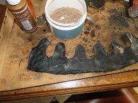 DSC07256.JPG