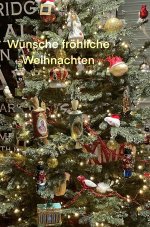 IMG_4622.jpeg