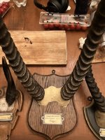 IMG_0808.jpeg
