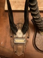 IMG_0809.jpeg