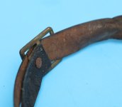 8Chinstrap.JPG