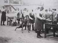 MG011.jpg