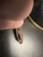 IMG_8091 (1).jpeg