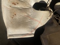 IMG_1545.jpeg