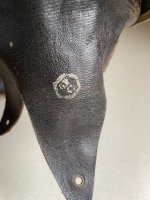 IMG_3272.jpeg