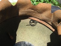 IMG_2356.jpeg