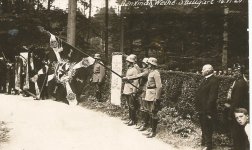 Telg flag 1929.jpg