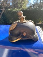 IMG_7237.jpeg