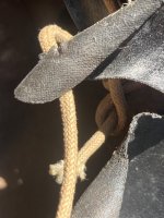 IMG_0726.jpeg