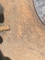 IMG_0723.jpeg