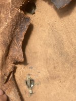 IMG_0874.jpeg