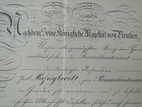 97361123_l.jpg
