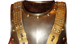 Clipped_image_20250505_151536.png
