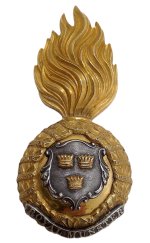 X Royal Munster Fusiliers (2).jpg