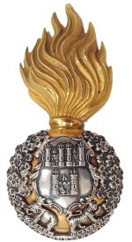 X Royal Dublin Fusiliers .jpg