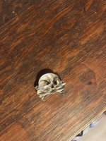IMG_3699.jpeg