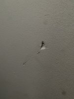 IMG_5698.jpeg