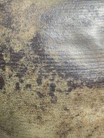 IMG_1707.jpeg