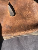 IMG_1686.jpeg