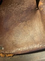IMG_1699.jpeg
