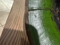 IMG_8410.jpeg