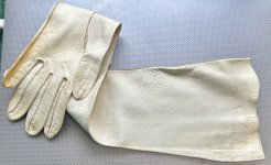 IMG_4012.jpeg