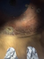 IMG_9791.jpeg