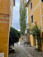 IMG_0719.jpeg