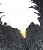 000_1104.JPG