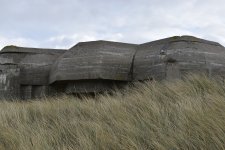MUS (9).JPG
