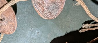 PXL_20250904_011700050[1].jpg