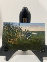 IMG_8001.jpeg