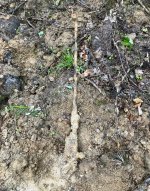 IMG_3396.jpeg