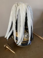 IMG_6387.jpeg