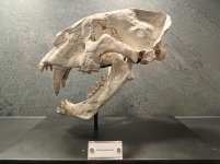 IMG_4324.jpeg