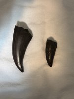 IMG_3011.jpeg