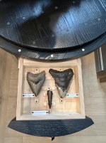 IMG_0870.jpeg