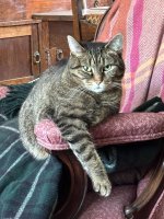 IMG_1801.JPEG
