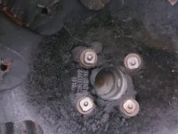 20230510_133517.jpg