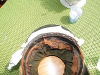DSC00430.JPG
