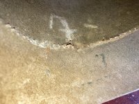 IMG_1901.jpeg
