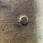 IMG_8727.jpeg