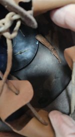 IMG_3162.jpeg