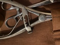 IMG_2684.jpeg