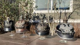 IMG_0035.jpeg