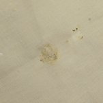IMG_8186.jpeg