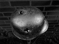 Photoroom_20260314_002639.jpeg