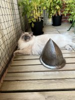 IMG_9230.jpeg