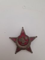 1000039344.jpg