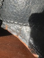 IMG_2225.jpeg